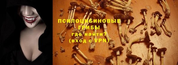 гидра Тавда