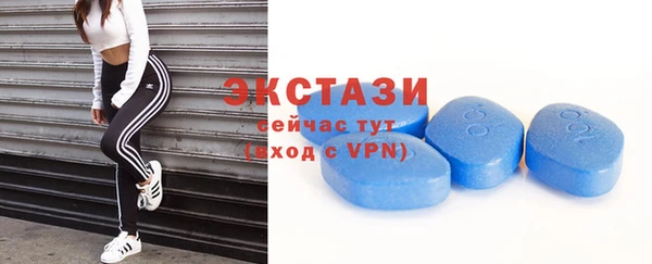 твердый Ельня