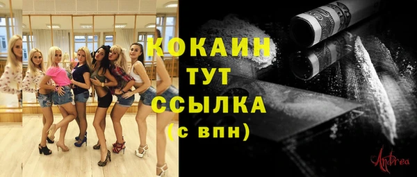 СК Дмитриев