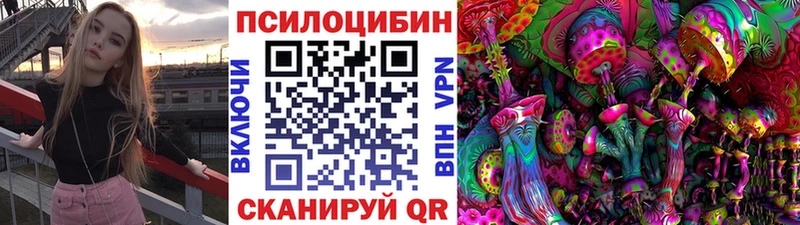 OMG как войти Любим Галлюциногенные грибы Cubensis
